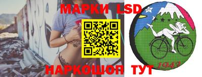 спайс Аргун