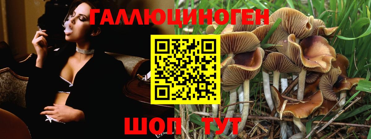 Галлюциногенные грибы прущие грибы  где купить   Апатиты  Вход с VPN 