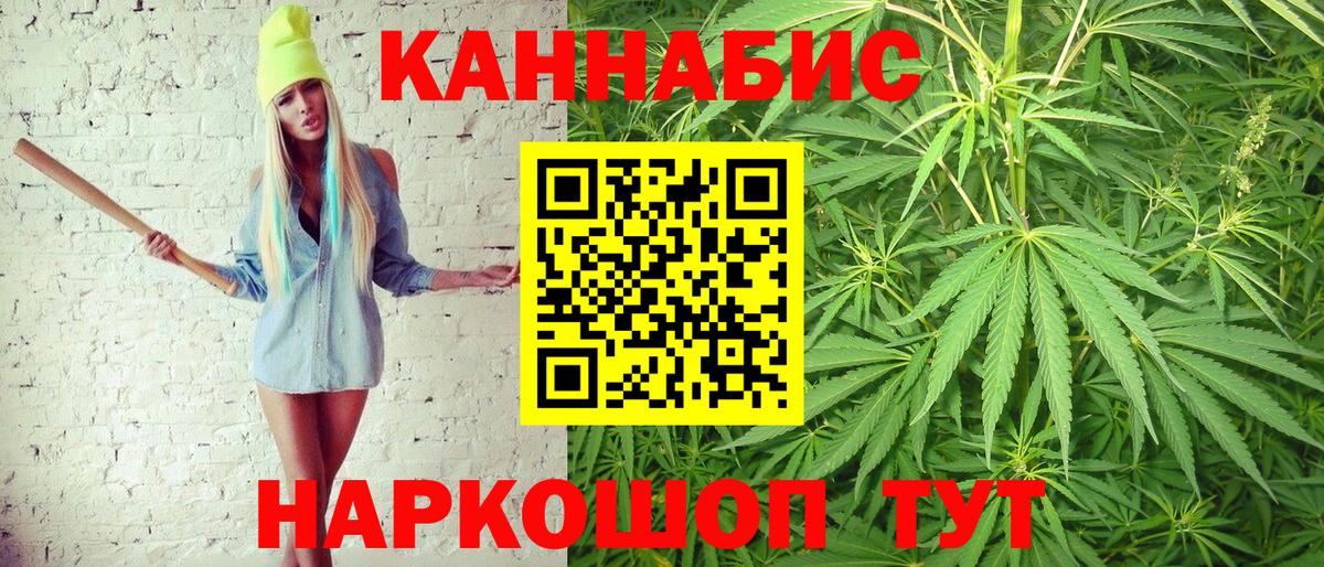 Каннабис индика Апатиты